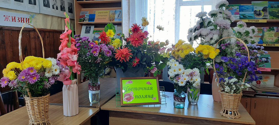Библиотечные посиделки «Сегодня славим седину» (Мунсютская с/б Цивильского МО) Библиотечные посиделки «Сегодня славим седину» (Мунсютская с/б Цивильского МО)