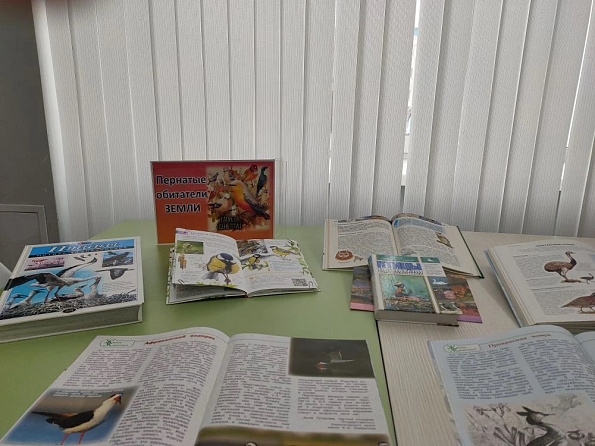 Экологический час «Наши пернатые друзья» (Центральная б-ка)